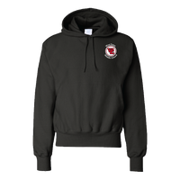 Champion Fleece Hooded Sweatshirt